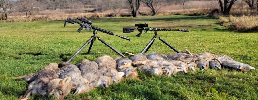 Key Points of Rifle Weight- What’s Your Preference?