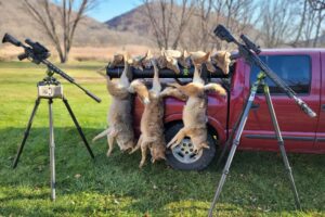 Spikes Tactical ARCA CRR M-LOK .308 Rail- Experiences and Thoughts