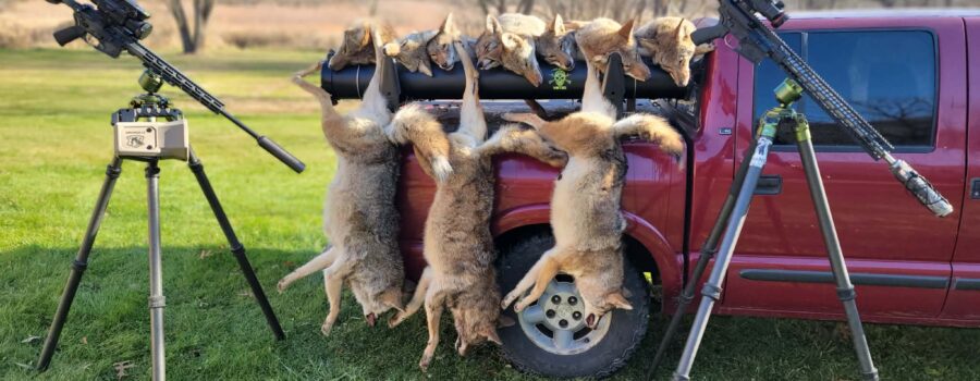 Spikes Tactical ARCA CRR M-LOK .308 Rail- Experiences and Thoughts